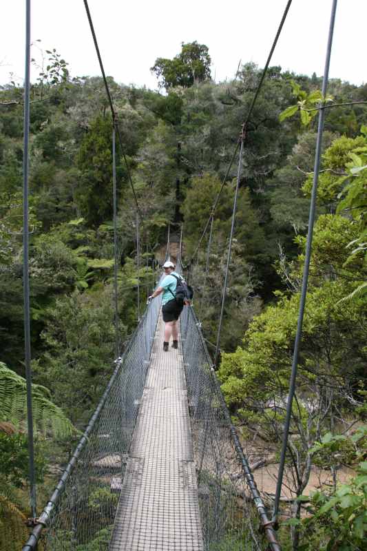 Nieuw-Zeeland 2011 - 1019